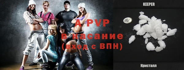 ПСИЛОЦИБИНОВЫЕ ГРИБЫ Гусев