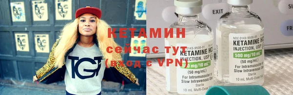 ПСИЛОЦИБИНОВЫЕ ГРИБЫ Гусев
