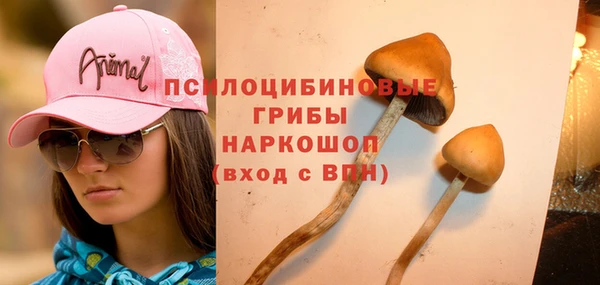 мяу мяу кристалл Гусь-Хрустальный