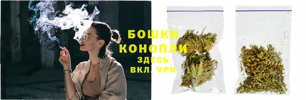 ПСИЛОЦИБИНОВЫЕ ГРИБЫ Гусев