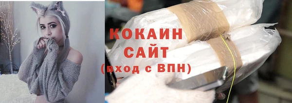мяу мяу кристалл Гусь-Хрустальный