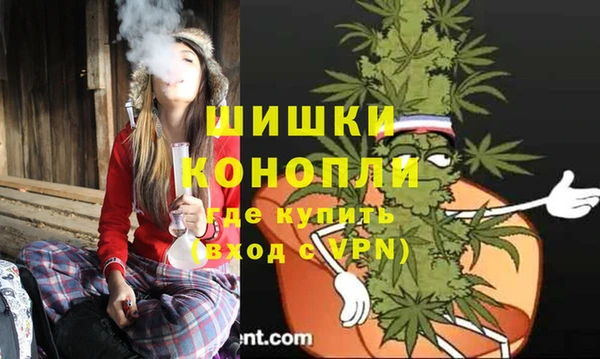 ПСИЛОЦИБИНОВЫЕ ГРИБЫ Гусев