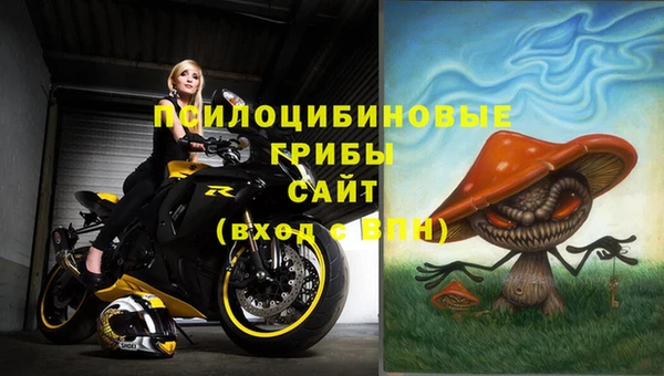 ПСИЛОЦИБИНОВЫЕ ГРИБЫ Гусев