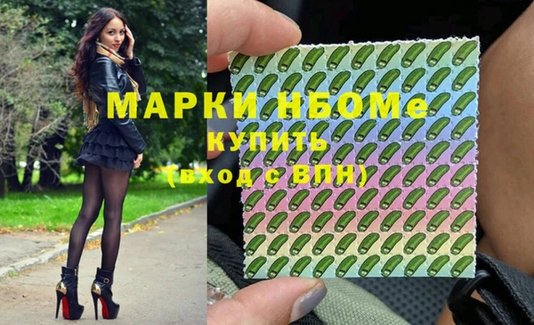 ПСИЛОЦИБИНОВЫЕ ГРИБЫ Гусев