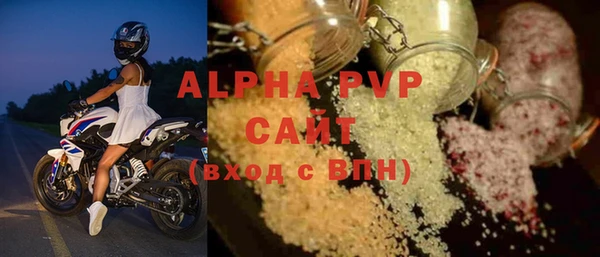 ПСИЛОЦИБИНОВЫЕ ГРИБЫ Гусев