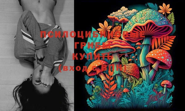 каннабис Гусиноозёрск