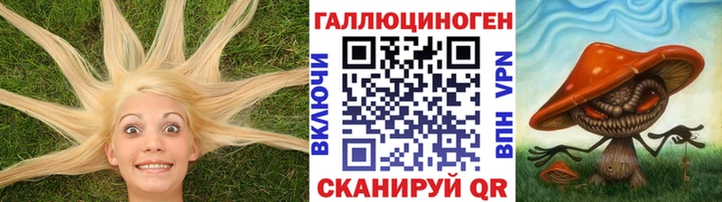 дарнет шоп  Горячеводский  Псилоцибиновые грибы мицелий 